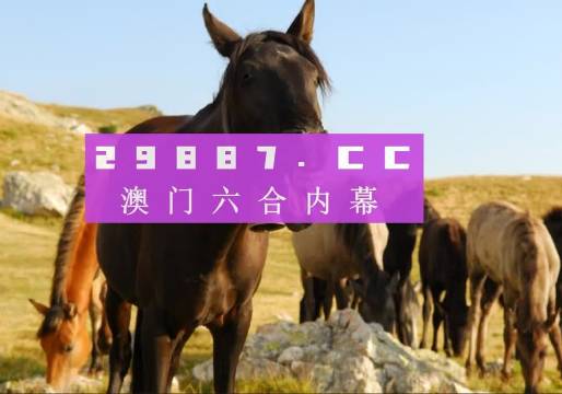 管家婆一肖一码100%中奖澳门,精选资料解析大全